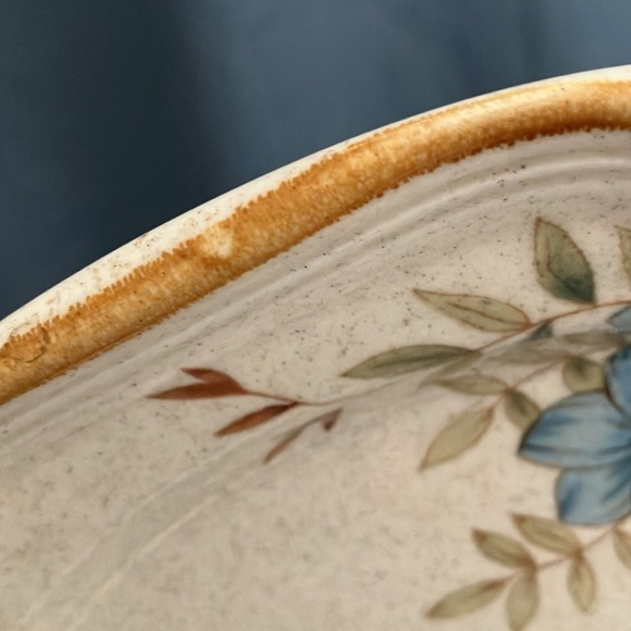 Mikasa: Garden Club DAY DREAMS (EC 461) Dinner Plates- lot of 2- 10 3/4" length - Picture 12 of 15